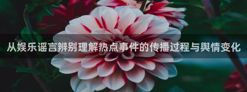 独家黑料后续进展