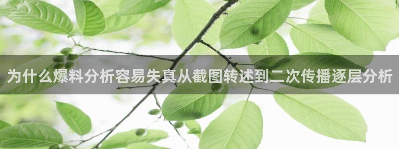 职场黑料后续进展