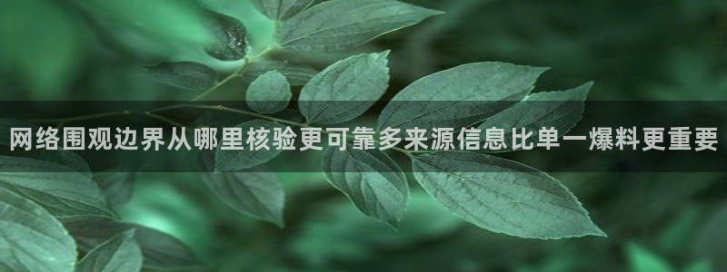 今日黑料后续进展