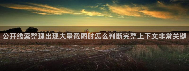 网红黑料证据梳理