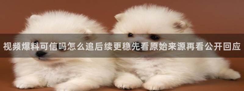 网络黑料证据梳理