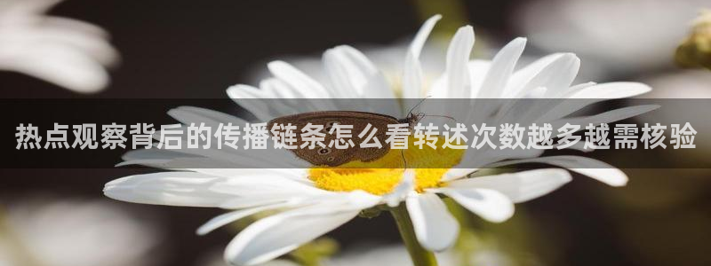 黑料后续进展