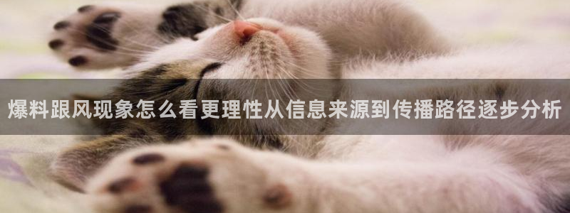 明星黑料事件始末