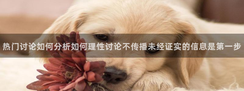 网红黑料当事人回应