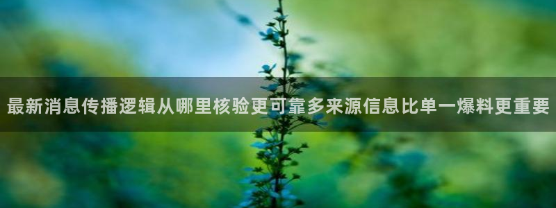 黑料爆料证据梳理