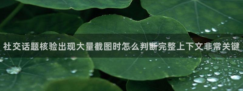 网络黑料后续进展